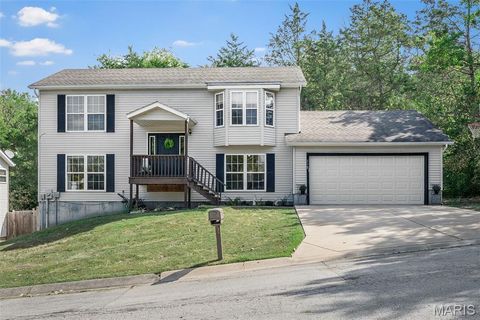 118 Meadow View Drive Union MO 63084
