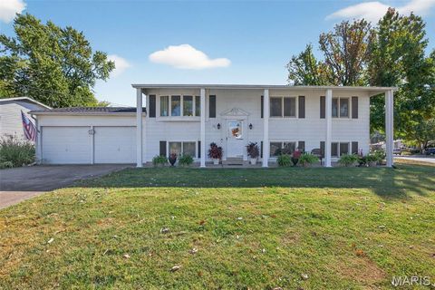 24 Saint David Drive St Peters MO 63376