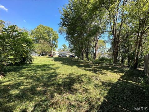 Tiny photo for 318 Chicago Street, St Louis, MO 63122 (MLS # 25079205)