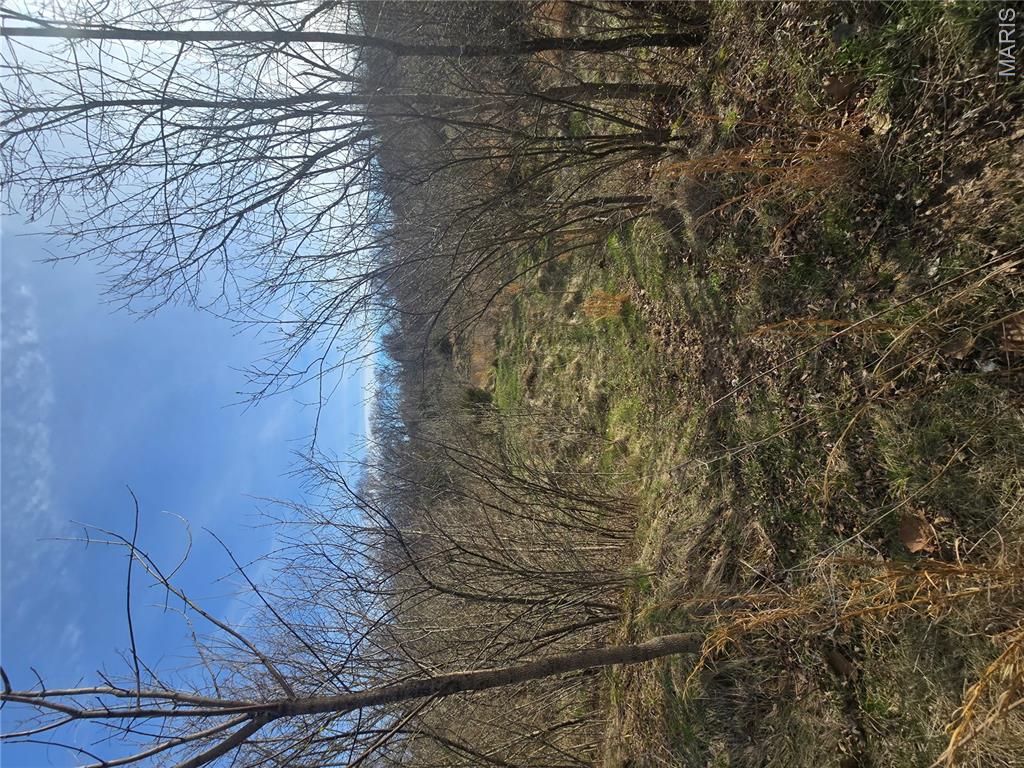 Whisler Hills - Land