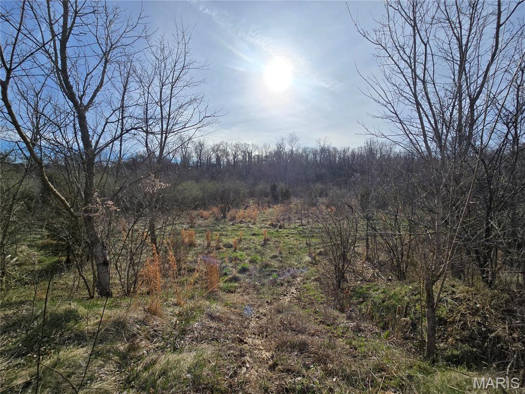 Whisler Hills - Land