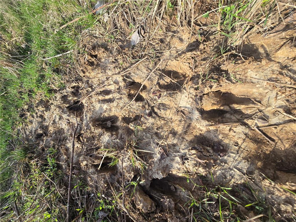 Whisler Hills - Land