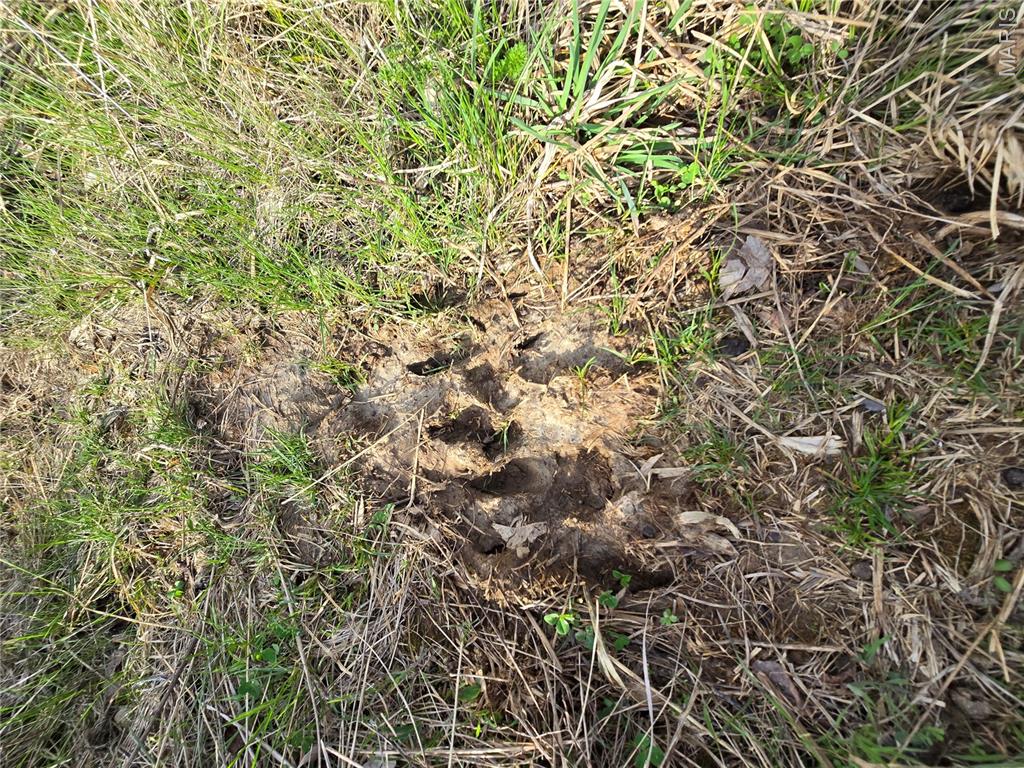 Whisler Hills - Land