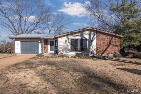 709 Wingan Lane Mehlville MO 63125