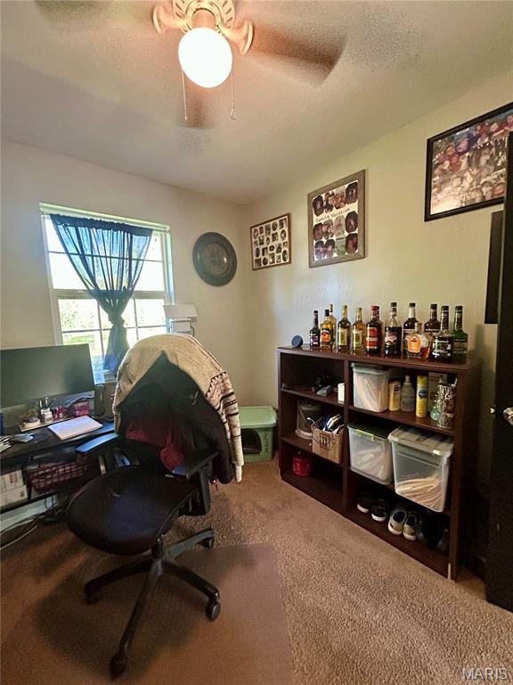 Shamrock Acres - Residential