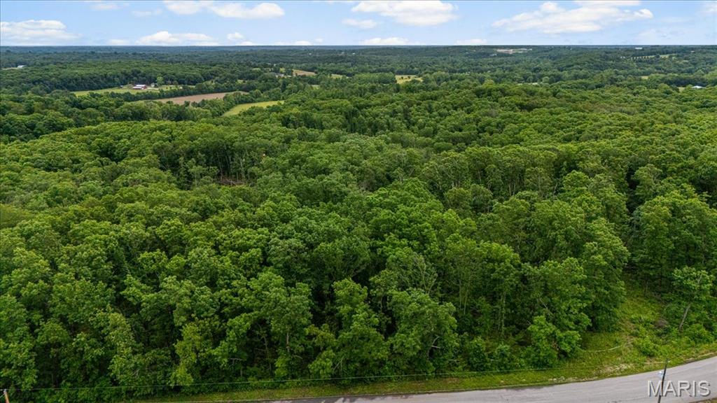 Tree Valley - Land