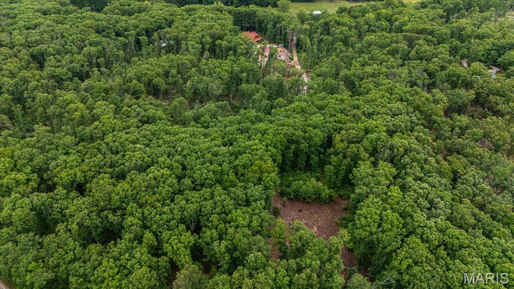 Tree Valley - Land