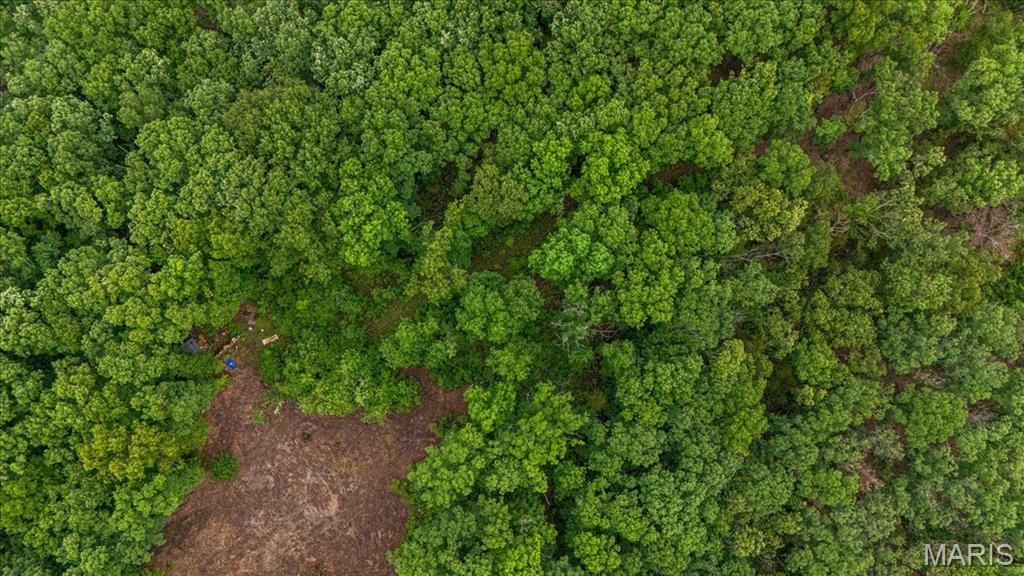 Tree Valley - Land