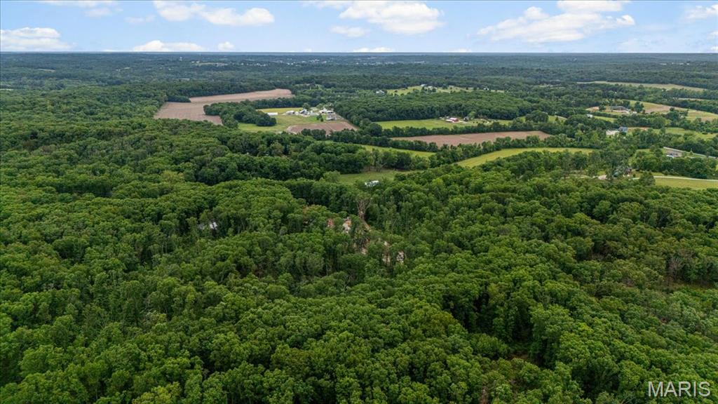 Tree Valley - Land