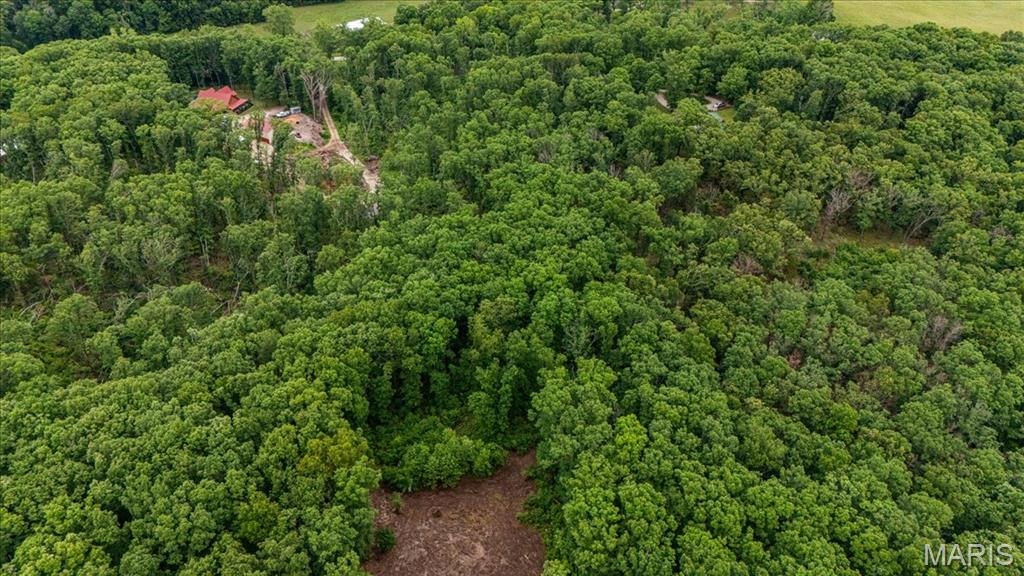 Tree Valley - Land