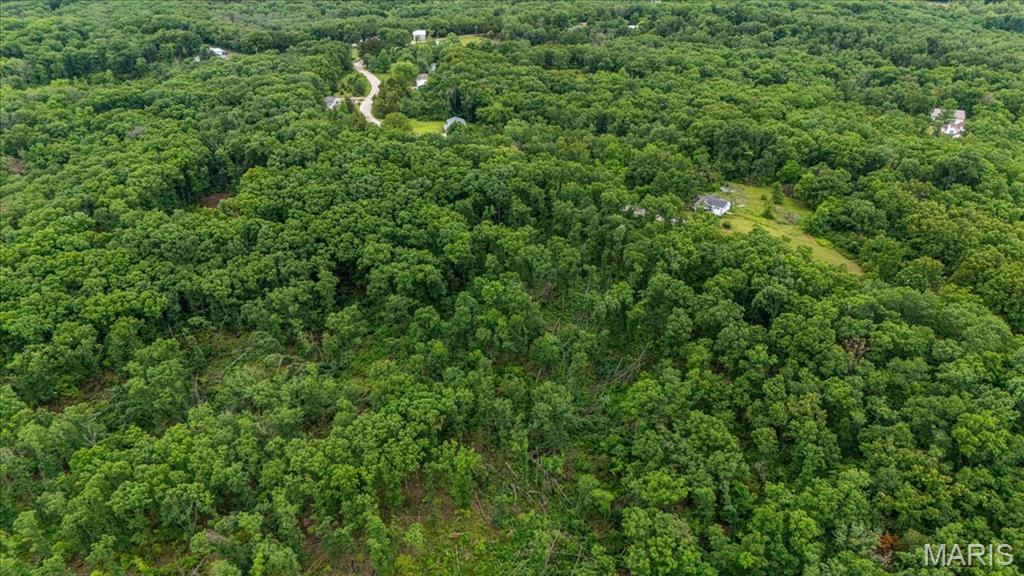 Tree Valley - Land