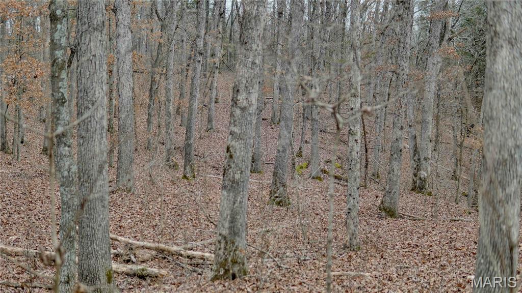Tree Valley - Land