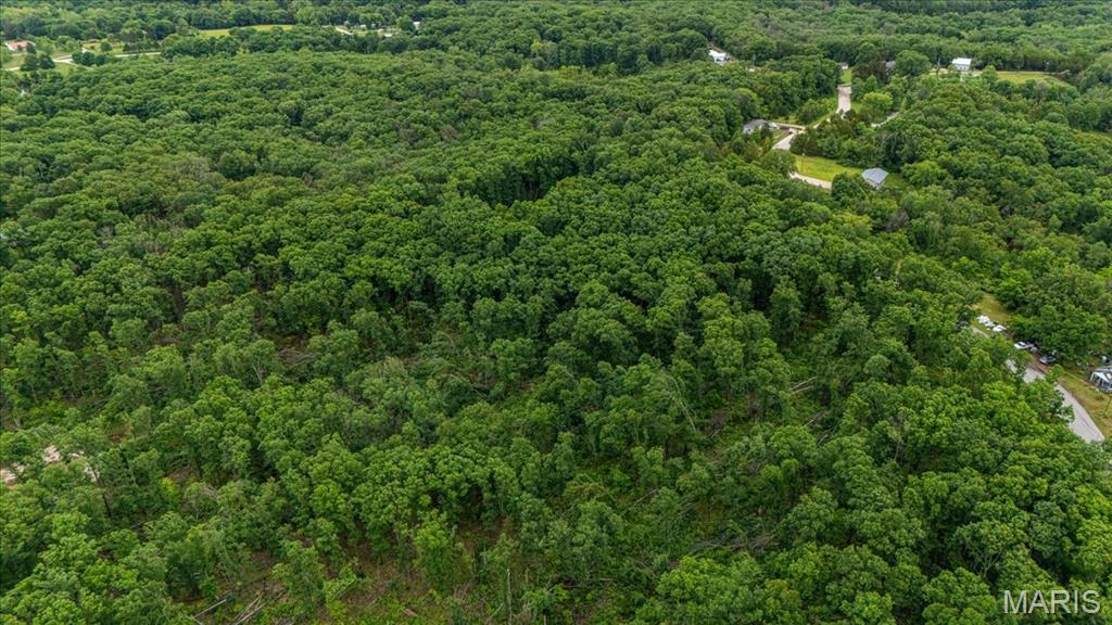 Tree Valley - Land