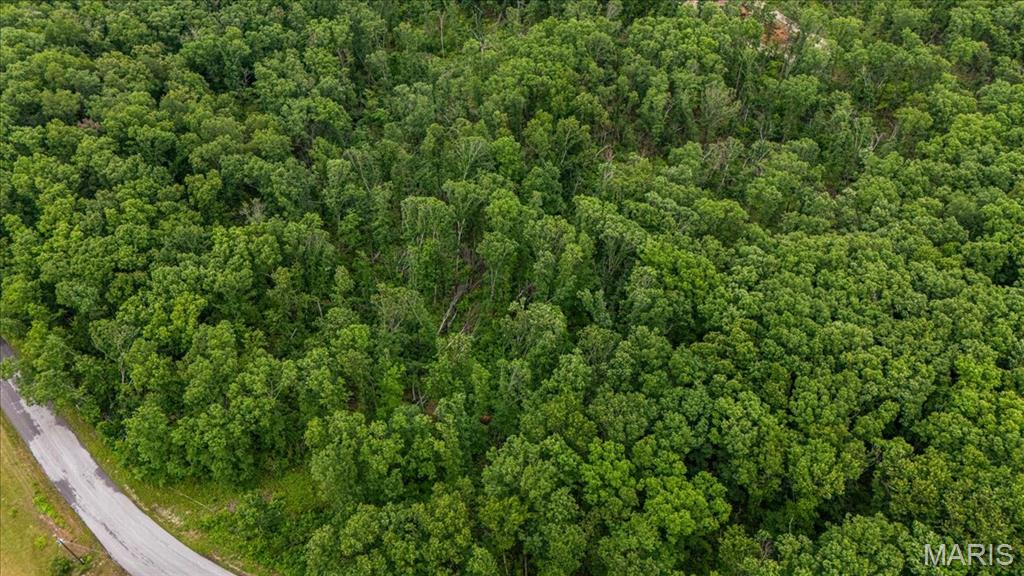 Tree Valley - Land