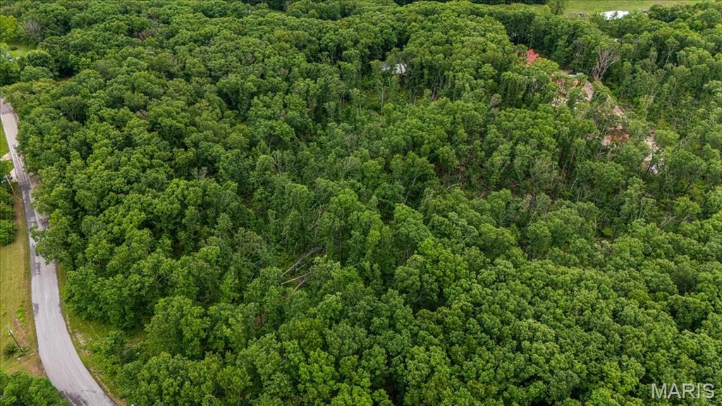 Tree Valley - Land