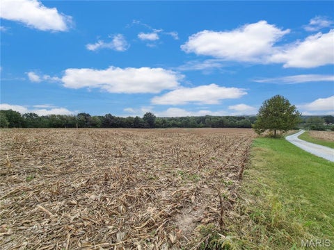 Tiny photo for 0 Hwy B (Tract A - 10.60+/- Acres), Elsberry, MO 63343 (MLS # 26066429)