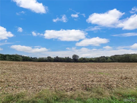 Tiny photo for 0 Hwy B (Tract A - 10.60+/- Acres), Elsberry, MO 63343 (MLS # 26066429)