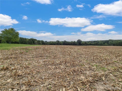 Tiny photo for 0 Hwy B (Tract A - 10.60+/- Acres), Elsberry, MO 63343 (MLS # 26066429)