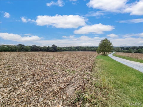 Tiny photo for 0 Hwy B (Tract A - 10.60+/- Acres), Elsberry, MO 63343 (MLS # 26066429)
