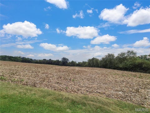 Tiny photo for 0 Hwy B (Tract A - 10.60+/- Acres), Elsberry, MO 63343 (MLS # 26066429)