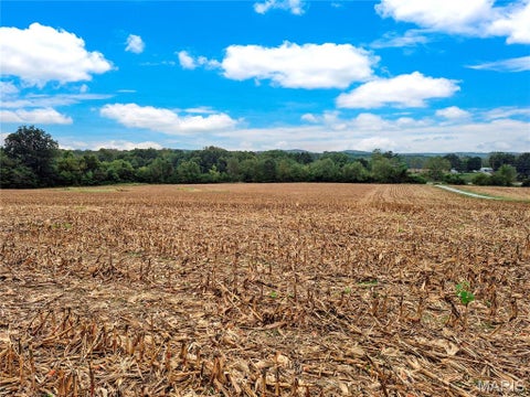 Tiny photo for 0 Hwy B (Tract A - 10.60+/- Acres), Elsberry, MO 63343 (MLS # 26066429)