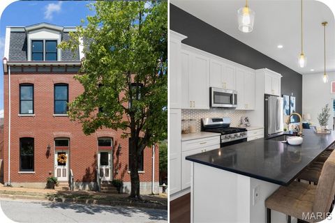 1029 Lami St Louis MO 63104