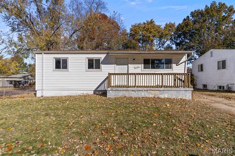 Photo of 1157 Scott Avenue, St Louis, MO 63138 (MLS # 25075858)