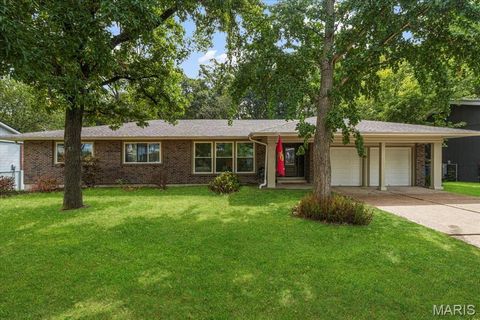 Photo of 836 Wheelwright Drive, Manchester, MO 63021 (MLS # 25080061)