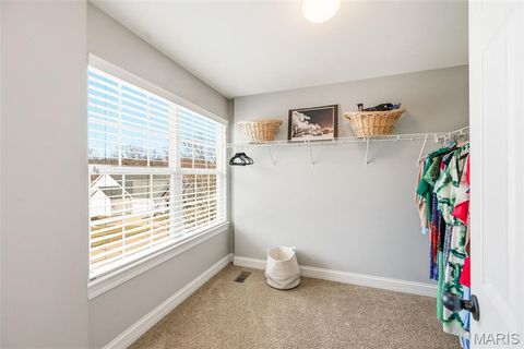 Tiny photo for 847 Arbor Chase Drive, Wildwood, MO 63021 (MLS # 26005534)