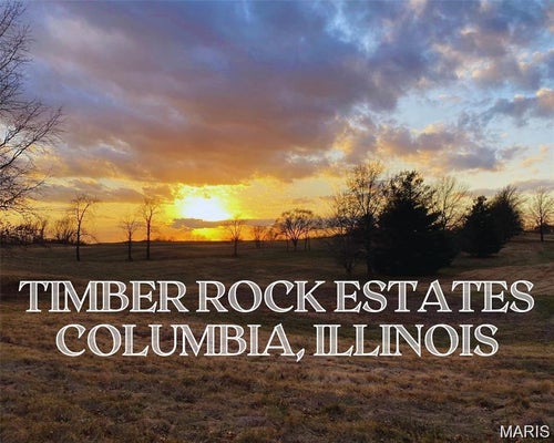 0 TIMBER ROCK LOT 29, COLUMBIA, IL 62236 - Image afe9366f854ea5ab7fff4fc47ee42e6f/3772422806