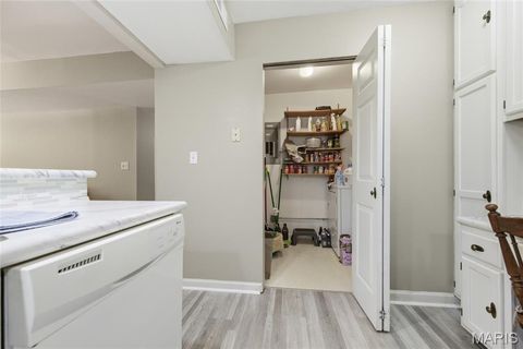 Tiny photo for 4501 Eli Drive #G, St Louis, MO 63128 (MLS # 26022316)