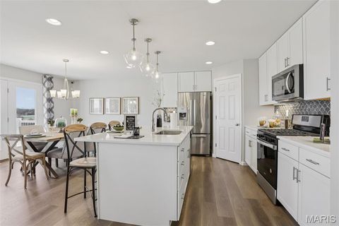 Tiny photo for 811 Yosemite Court, Troy, MO 63379 (MLS # 26016194)