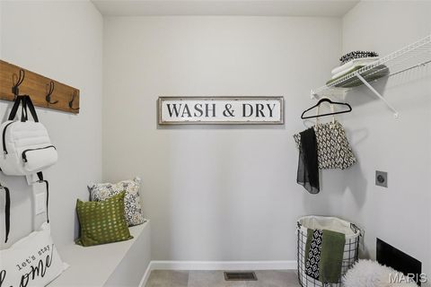 Tiny photo for 811 Yosemite Court, Troy, MO 63379 (MLS # 26016194)