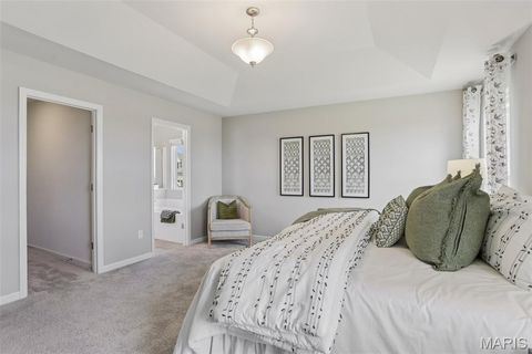 Tiny photo for 811 Yosemite Court, Troy, MO 63379 (MLS # 26016194)