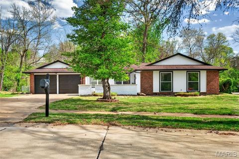 Photo of 117 Old Oaks Drive, Ballwin, MO 63011 (MLS # 26019970)