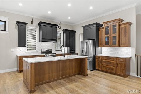 Tiny photo for 459 Westridge Drive, Troy, MO 63379 (MLS # 25082263)