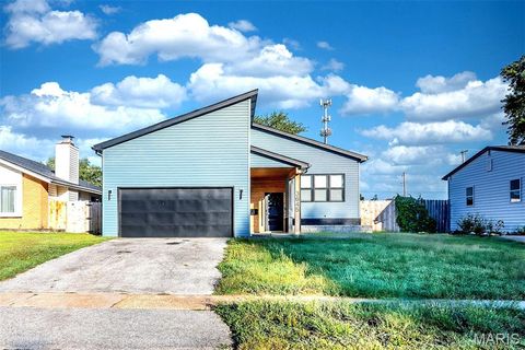 3645 Woodman Drive Florissant MO 63031