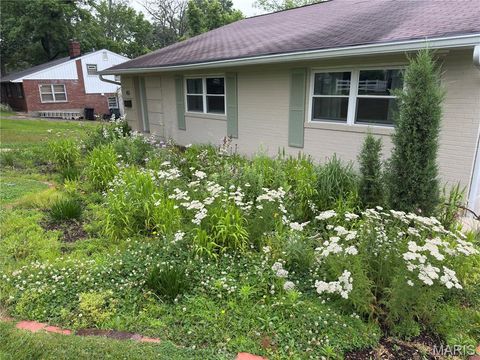 Tiny photo for 452 Iris Lane, Kirkwood, MO 63122 (MLS # 26001433)