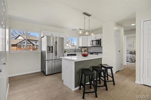 Tiny photo for 5853 Hunterbrook Court, St Louis, MO 63129 (MLS # 26013870)