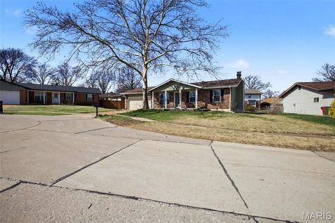 Tiny photo for 5853 Hunterbrook Court, St Louis, MO 63129 (MLS # 26013870)