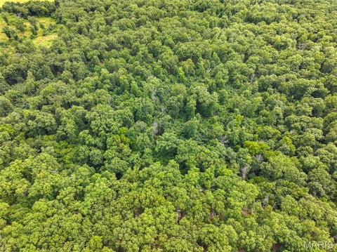 Tiny photo for 0000 SE 1151 Road, Collins, MO 64738 (MLS # 26047291)