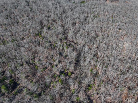 Tiny photo for 0000 SE 1151 Road, Collins, MO 64738 (MLS # 26047291)