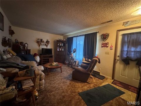 Tiny photo for 513 Harris Street, Elsberry, MO 63343 (MLS # 25065714)