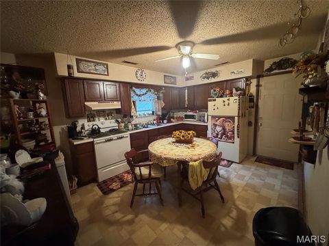 Tiny photo for 513 Harris Street, Elsberry, MO 63343 (MLS # 25065714)