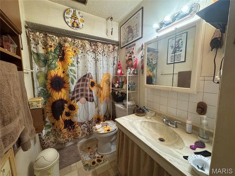 Tiny photo for 513 Harris Street, Elsberry, MO 63343 (MLS # 25065714)