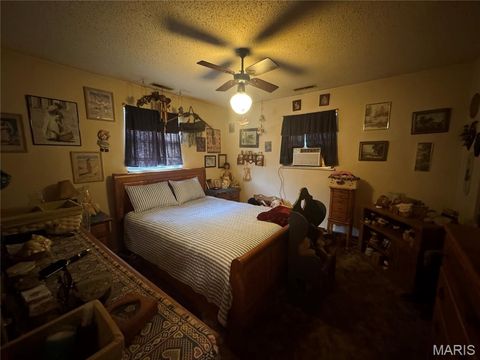 Tiny photo for 513 Harris Street, Elsberry, MO 63343 (MLS # 25065714)