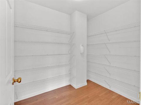 Tiny photo for 234 Cherry Hills Meadows Drive, Wildwood, MO 63040 (MLS # 26021463)
