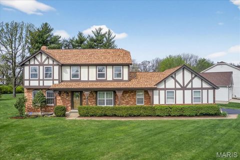 Photo of 1347 Cherry Glen Court, Chesterfield, MO 63017 (MLS # 26021798)