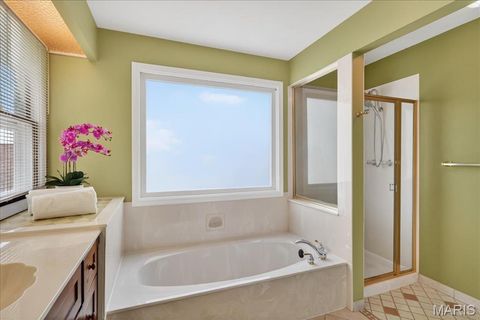 Tiny photo for 1347 Cherry Glen Court, Chesterfield, MO 63017 (MLS # 26021798)