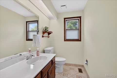 Tiny photo for 1347 Cherry Glen Court, Chesterfield, MO 63017 (MLS # 26021798)